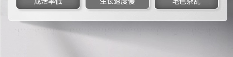 血源补铁补血猪保健仔猪小羊猪铁锌生血素仔猪断奶宝饲料添加