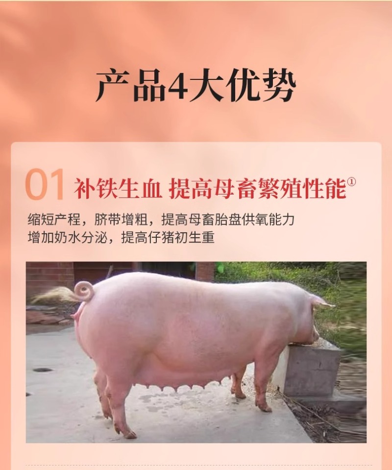 血源补铁补血猪保健仔猪小羊猪铁锌生血素仔猪断奶宝饲料添加