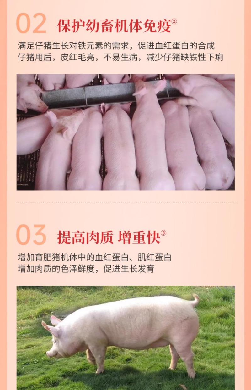 血源补铁补血猪保健仔猪小羊猪铁锌生血素仔猪断奶宝饲料添加