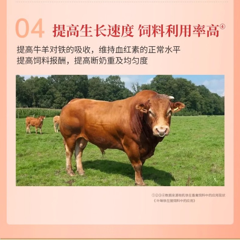 血源补铁补血猪保健仔猪小羊猪铁锌生血素仔猪断奶宝饲料添加