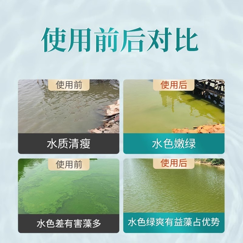 小球藻藻种浓缩藻种复合藻种肥水培藻增氧水产养殖专用小球藻