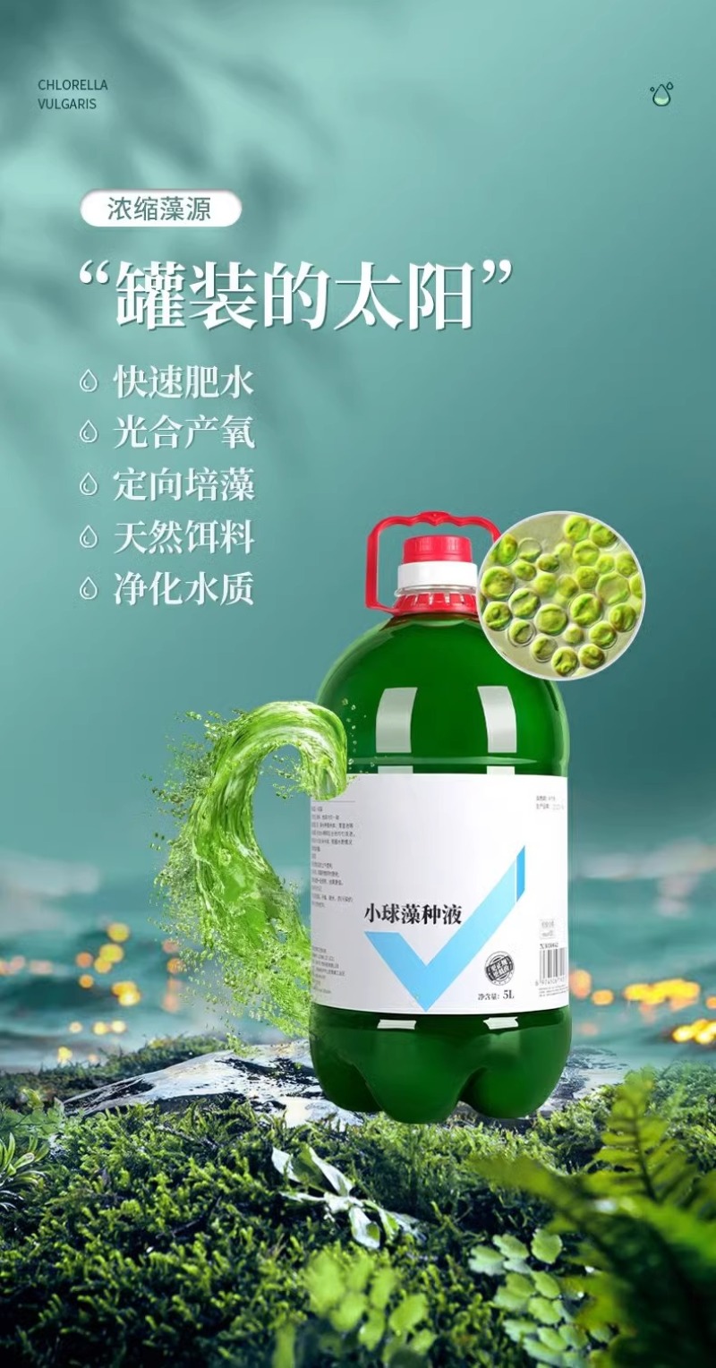 小球藻藻种浓缩藻种复合藻种肥水培藻增氧水产养殖专用小球藻