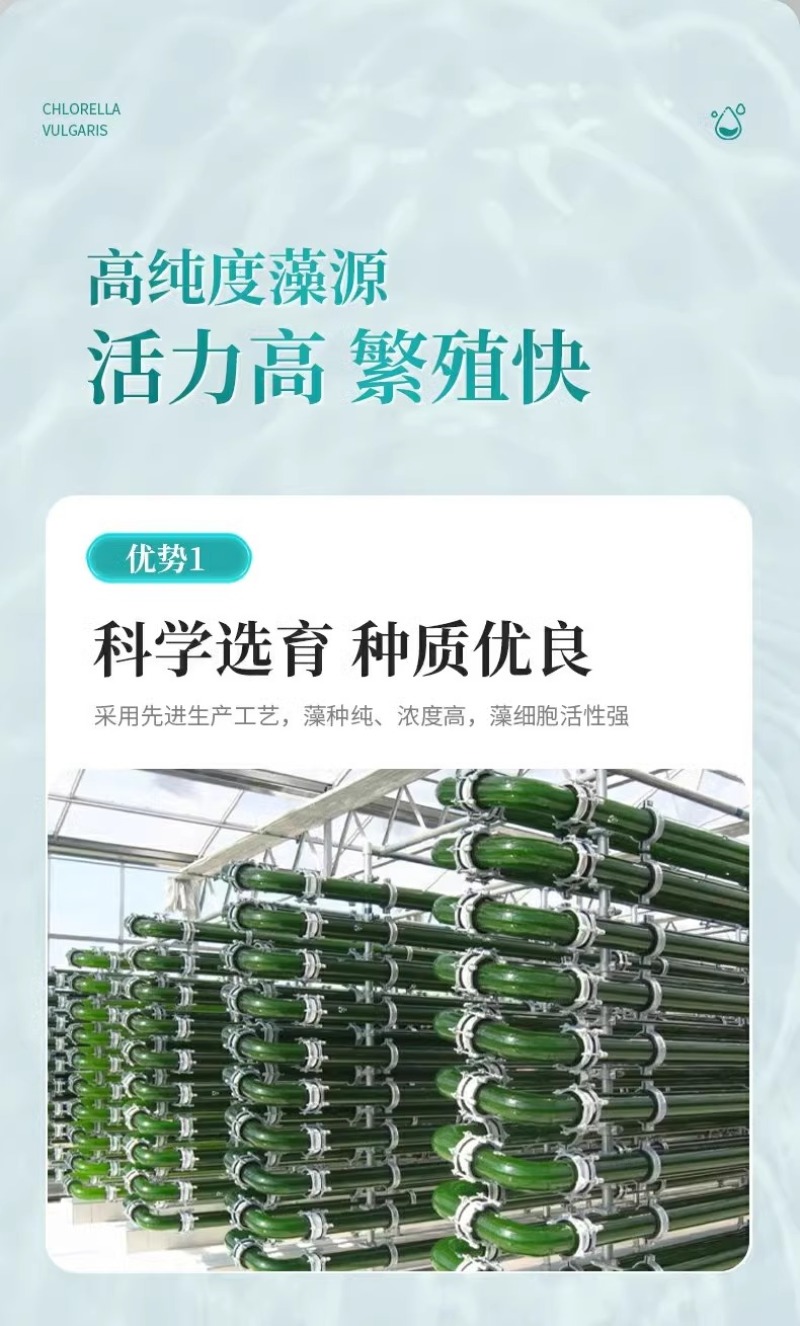 小球藻藻种浓缩藻种复合藻种肥水培藻增氧水产养殖专用小球藻