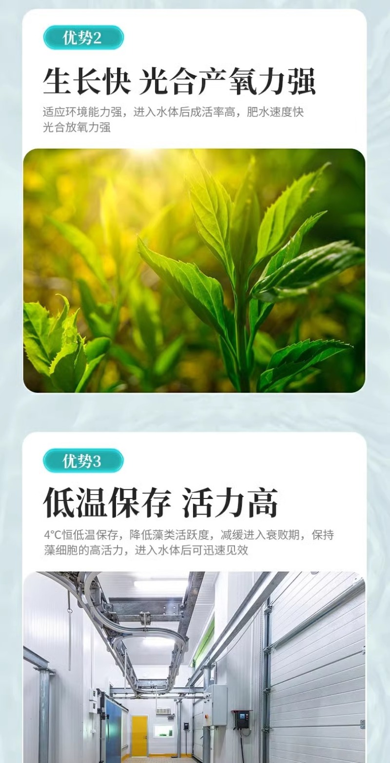 小球藻藻种浓缩藻种复合藻种肥水培藻增氧水产养殖专用小球藻