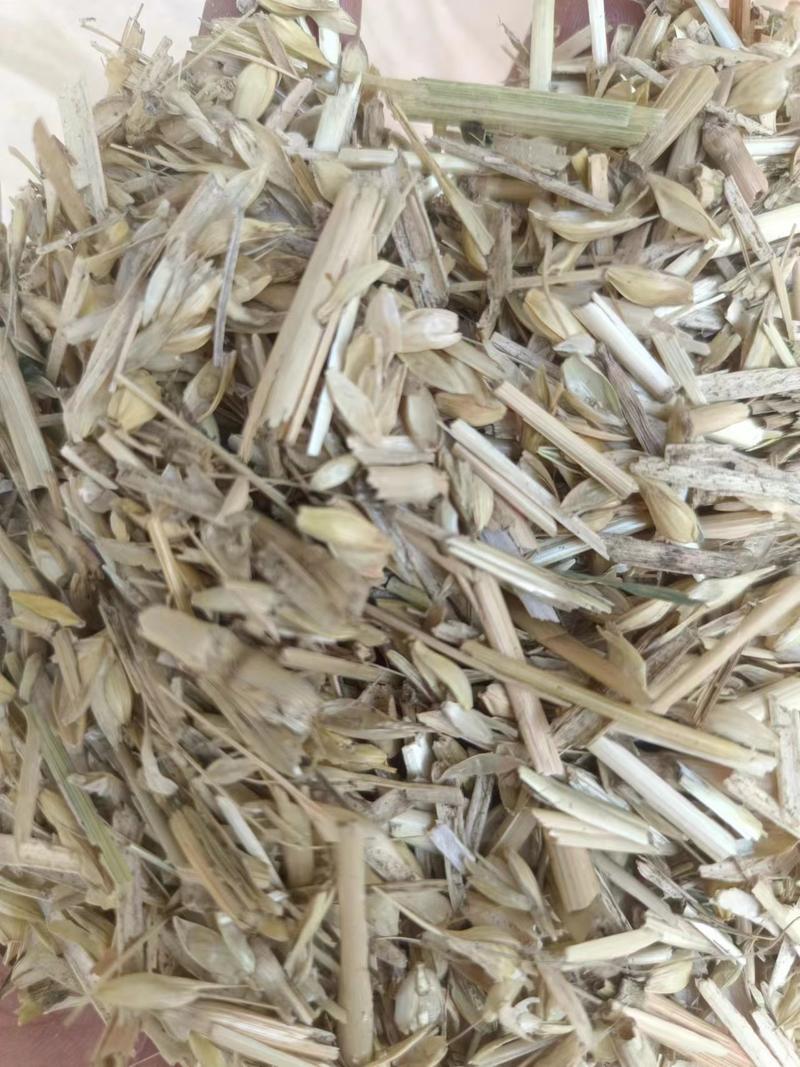 麦糠小麦秸秆麦糠散装压缩盖竹笋料基地直发来电咨询诚信
