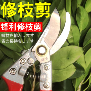 SK5粗枝剪高碳钢大口径园林树枝剪弯嘴加厚铝柄果树修剪