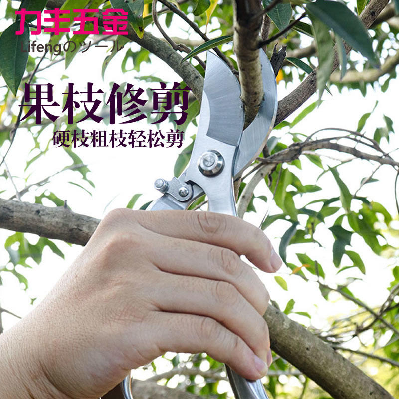 日本进口钢修枝剪果树剪子修剪树枝剪刀强力修花剪园艺园林修