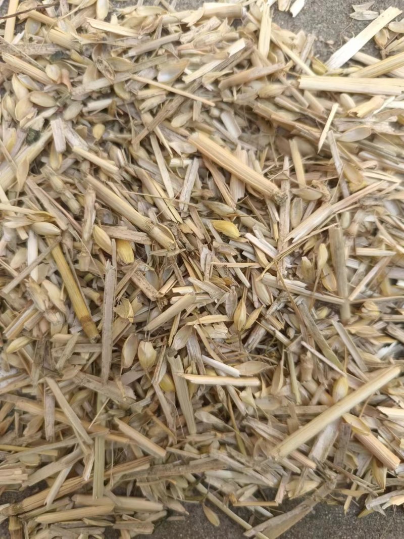 散装小麦麦糠大型面粉厂小麦糠无土无膜无霉变万吨草场直发