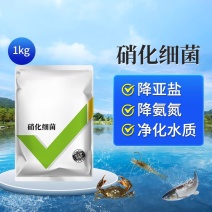 硝化细菌鱼缸塘销消化活菌鱼用水产养殖专用养鱼水质净化剂粉