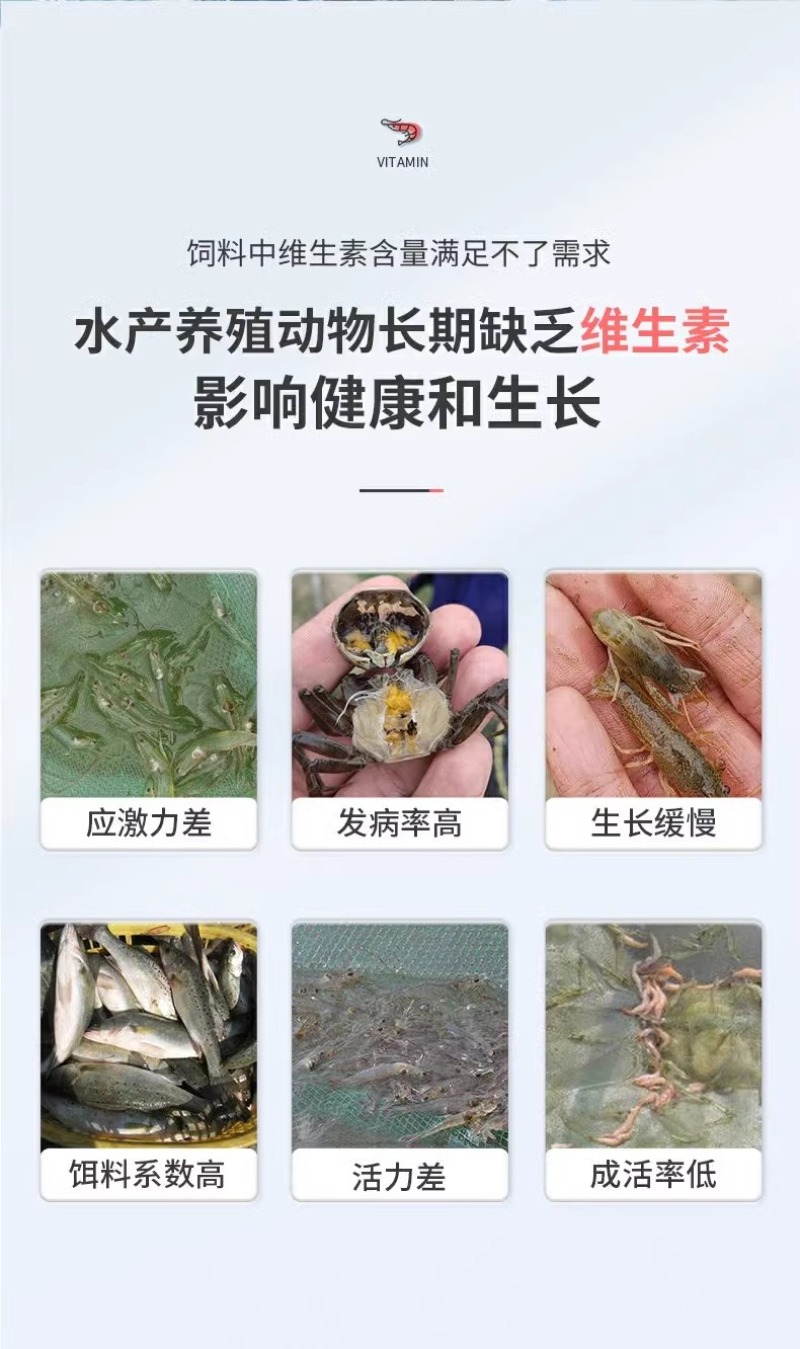 水产多维鱼虾蟹蛙海参电解多维多种微量元素诱食促长增强体质