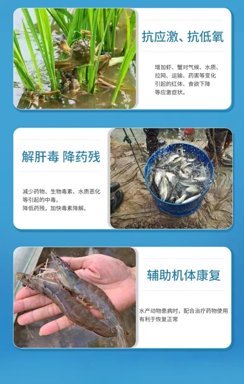 水产多维鱼虾蟹蛙海参电解多维多种微量元素诱食促长增强体质