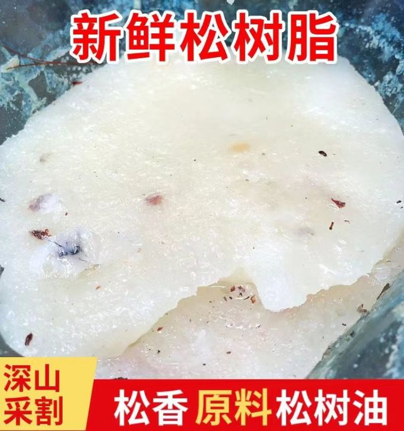安徽本地松脂，产地直发，一手货源，欢迎来电咨询