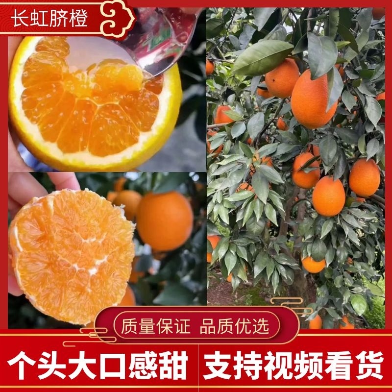 湖北秭归纽荷尔脐橙，长虹脐橙产地一手货源，品质保证