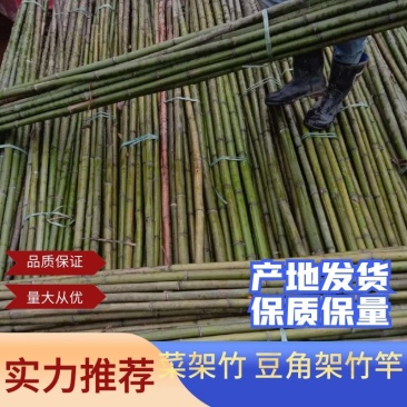 精品竹子，竹竿，菜架竹，豆角架，西红柿架，冬瓜架批发供应