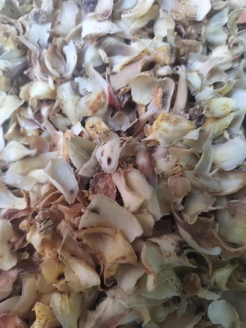 河北精品干百合一手货源价格优惠保质保量欢迎咨询