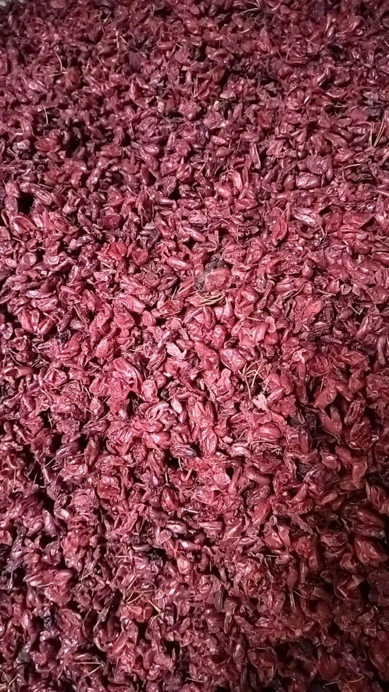 正宗精品山萸肉干净无杂质一手货源价格优惠可视频看货