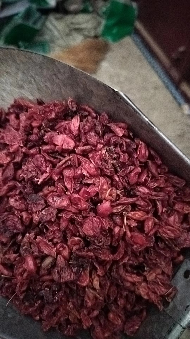 正宗精品山萸肉干净无杂质一手货源价格优惠可视频看货