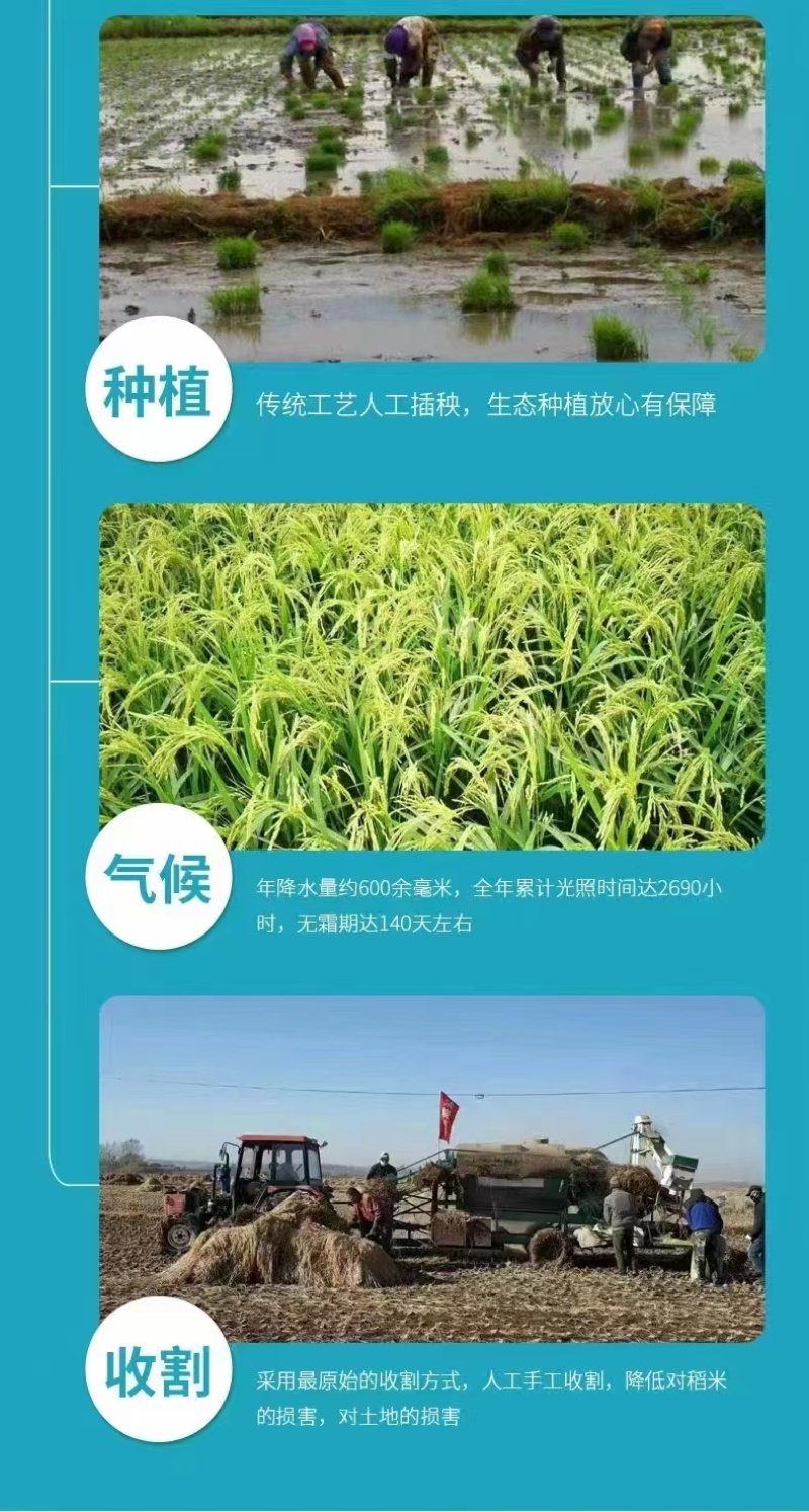 东北五常大米稻花香，大量有货，自产自销，品质保证