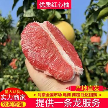 【红心柚】四川柚子产地直发皮薄多汁对接全国市场电