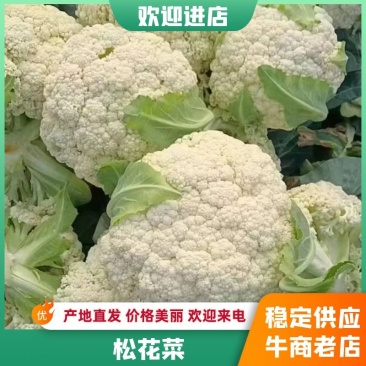 【菜花新品上市】花菜云南松花菜产地万亩基地直发可视频拿货电联