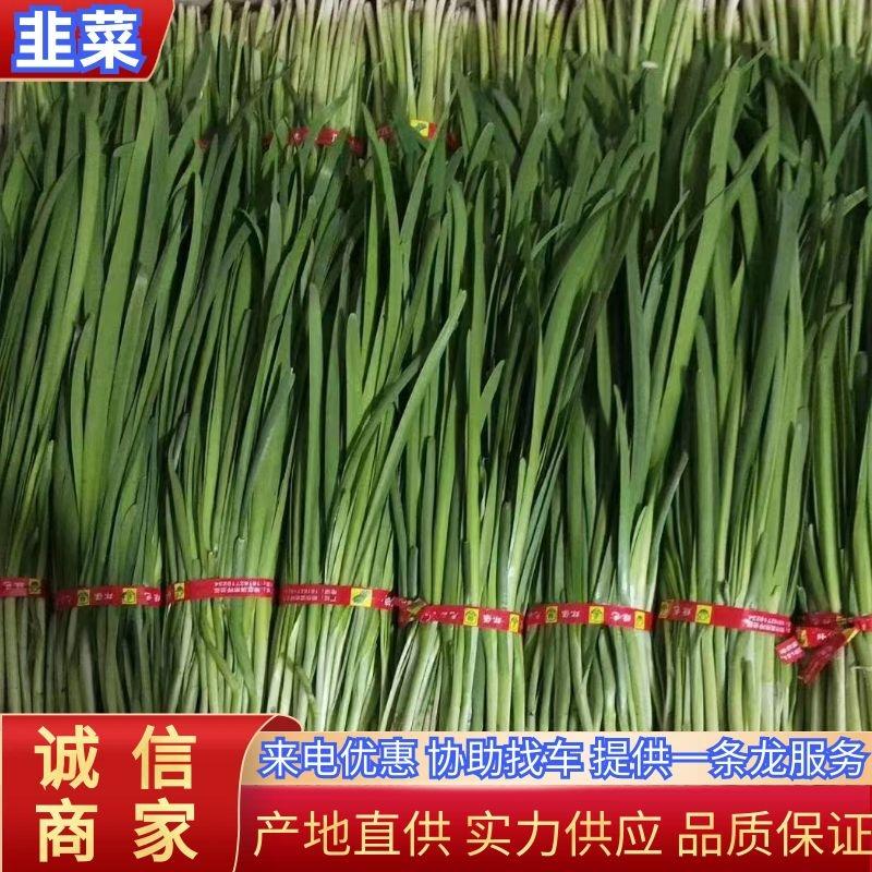 【精选】紫根红韭菜实力供应对接全国市场可视频看货