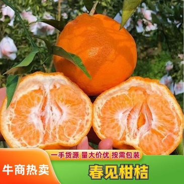 四川精品耙耙柑春见柑橘果园现摘皮薄多汁产地直发品质保障