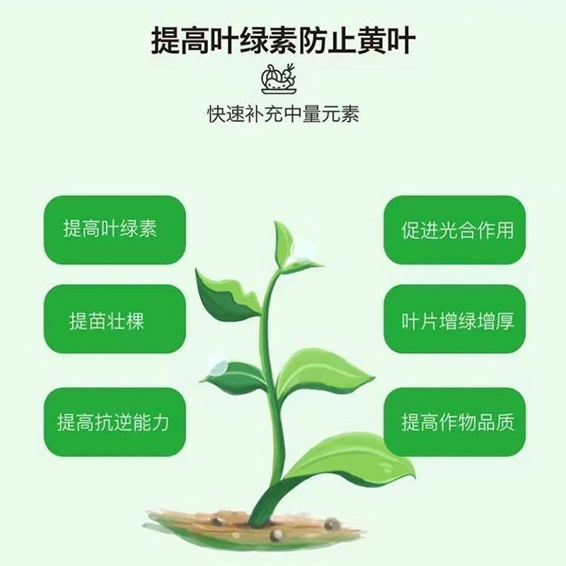 叶绿素叶面肥生根提苗绿叶片增厚增绿花卉果树蔬菜通用农用水