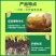 进口一刀斩正品哈茨木霉微生物菌剂菌淡紫紫孢菌真细抗重茬瓜