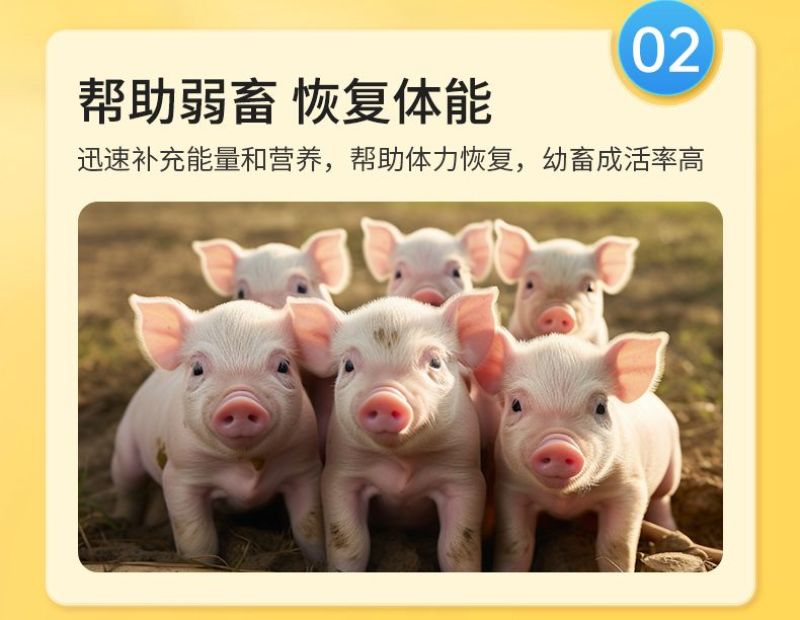 维生膏营养促生长猪牛羊鸡抗应激维生素啄羽啄肛微量元素