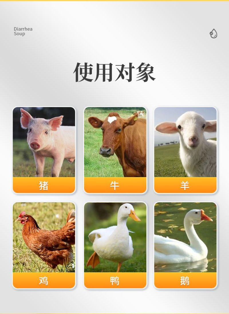 维生膏营养促生长猪牛羊鸡抗应激维生素啄羽啄肛微量元素