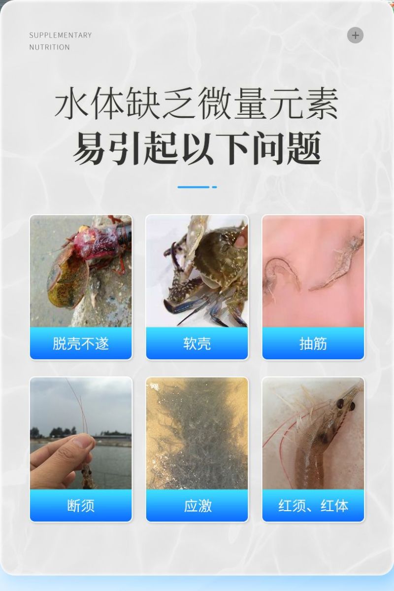 微矿速补钙磷速水产鱼虾蟹补钙用微量元素补钙防啄羽