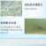 微矿速补钙磷速水产鱼虾蟹补钙用微量元素补钙防啄羽