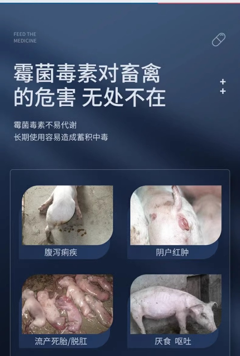脱霉剂正品母猪牛羊饲料添鸡鸭禽反刍孕加生物脱霉净