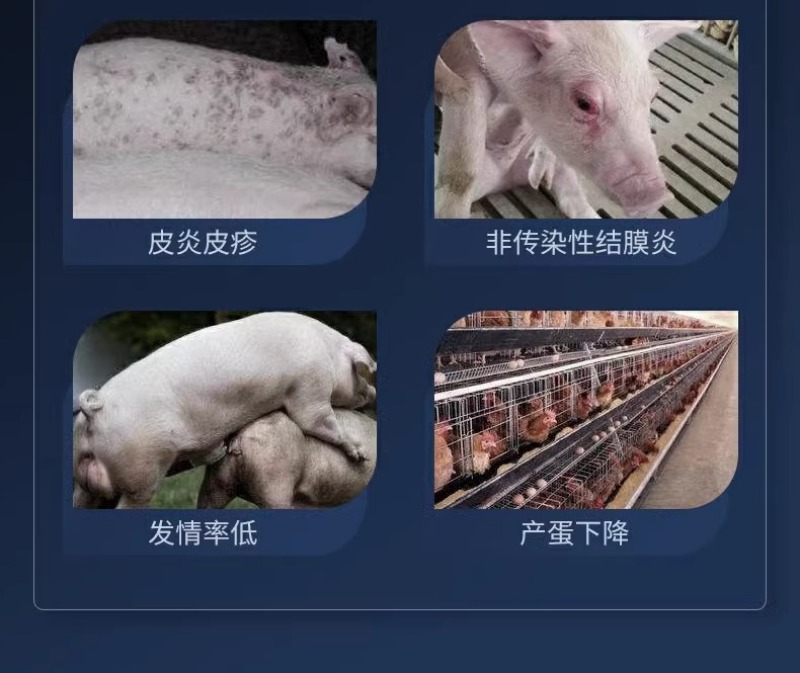 脱霉剂正品母猪牛羊饲料添鸡鸭禽反刍孕加生物脱霉净