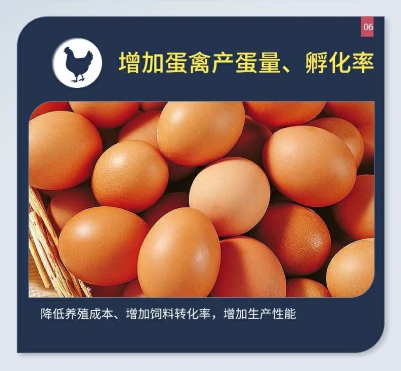 脱霉剂正品母猪牛羊饲料添鸡鸭禽反刍孕加生物脱霉净