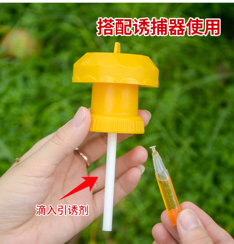果蝇诱捕器果园菜地瓜果实蝇针蜂桔小实蝇引诱捕蜂器昆虫飞虫