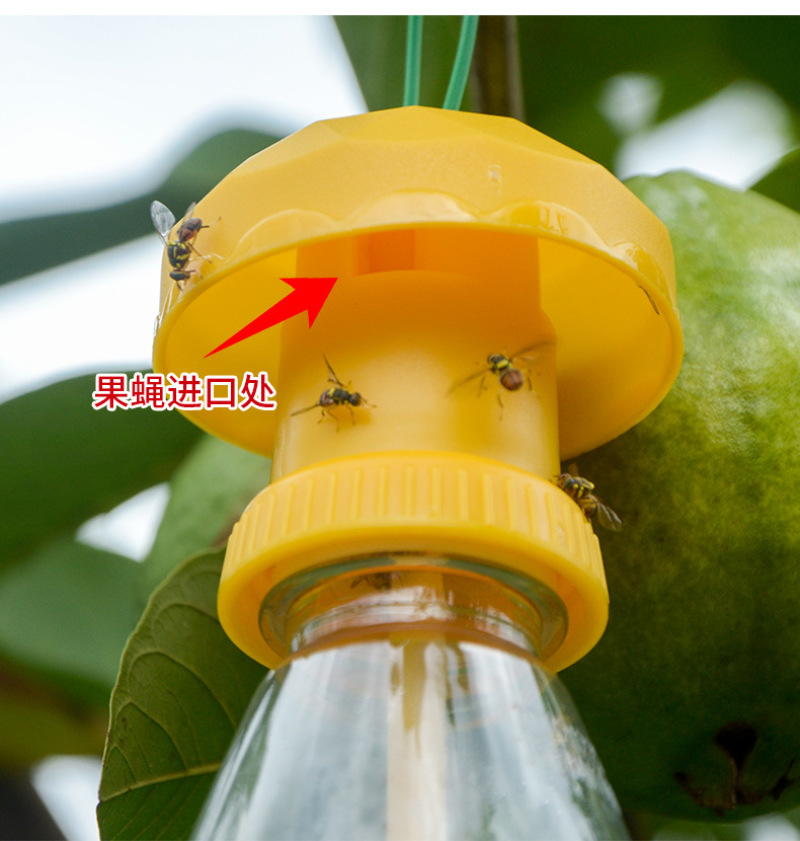 果蝇诱捕器果园菜地瓜果实蝇针蜂桔小实蝇引诱捕蜂器昆虫飞虫