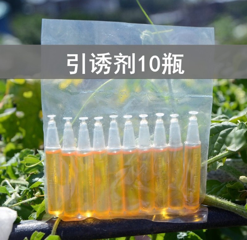 果蝇诱捕器果园菜地瓜果实蝇针蜂桔小实蝇引诱捕蜂器昆虫飞虫