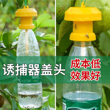 【升级款】诱捕器果园菜地瓜果实蝇针蜂桔小实蝇引诱捕蜂器