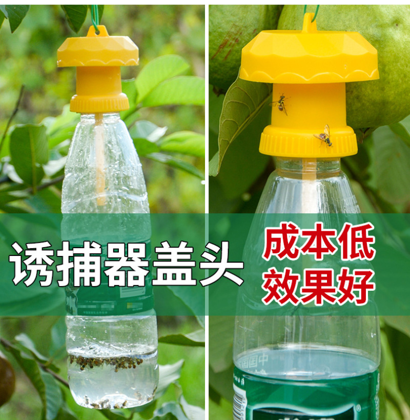 【升级款】诱捕器果园菜地瓜果实蝇针蜂桔小实蝇引诱捕蜂器