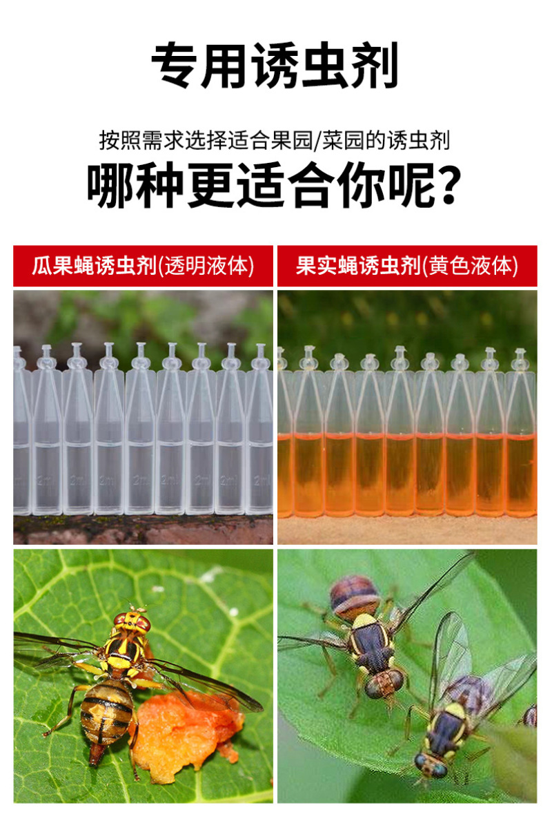 【升级款】诱捕器果园菜地瓜果实蝇针蜂桔小实蝇引诱捕蜂器