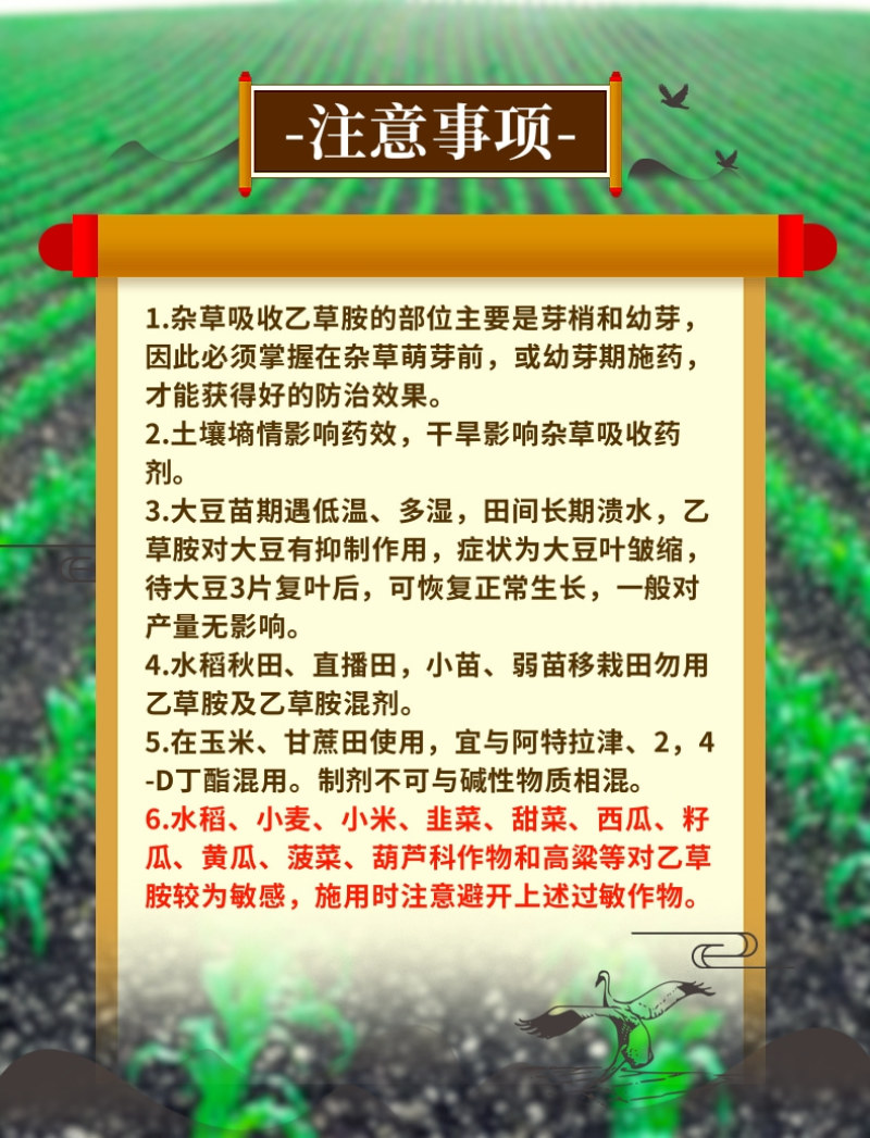 50%乙草胺玉米苗前除草封闭除草草籽双杀