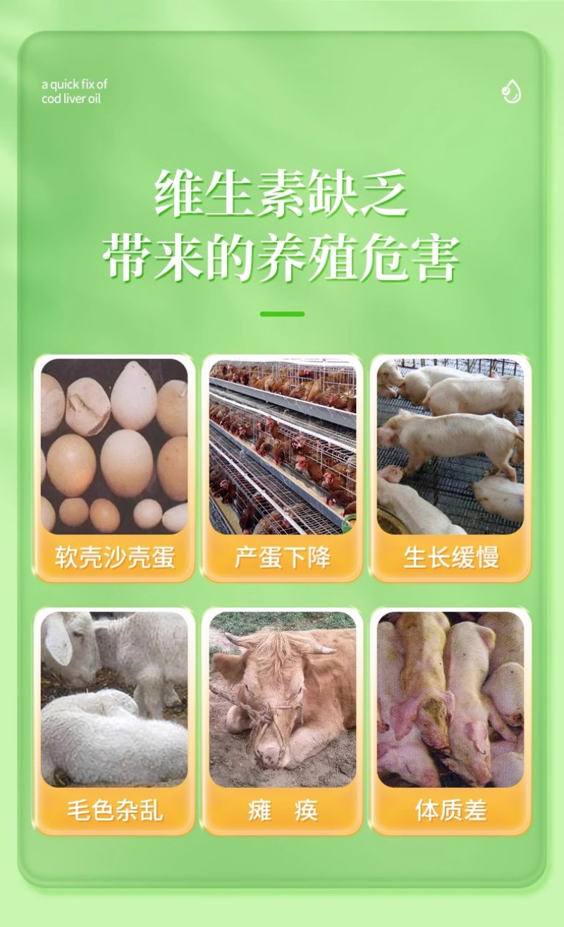鱼肝油速补多维抵抗力强鸡鸭鹅猪牛羊浓缩增蛋宝补维生素