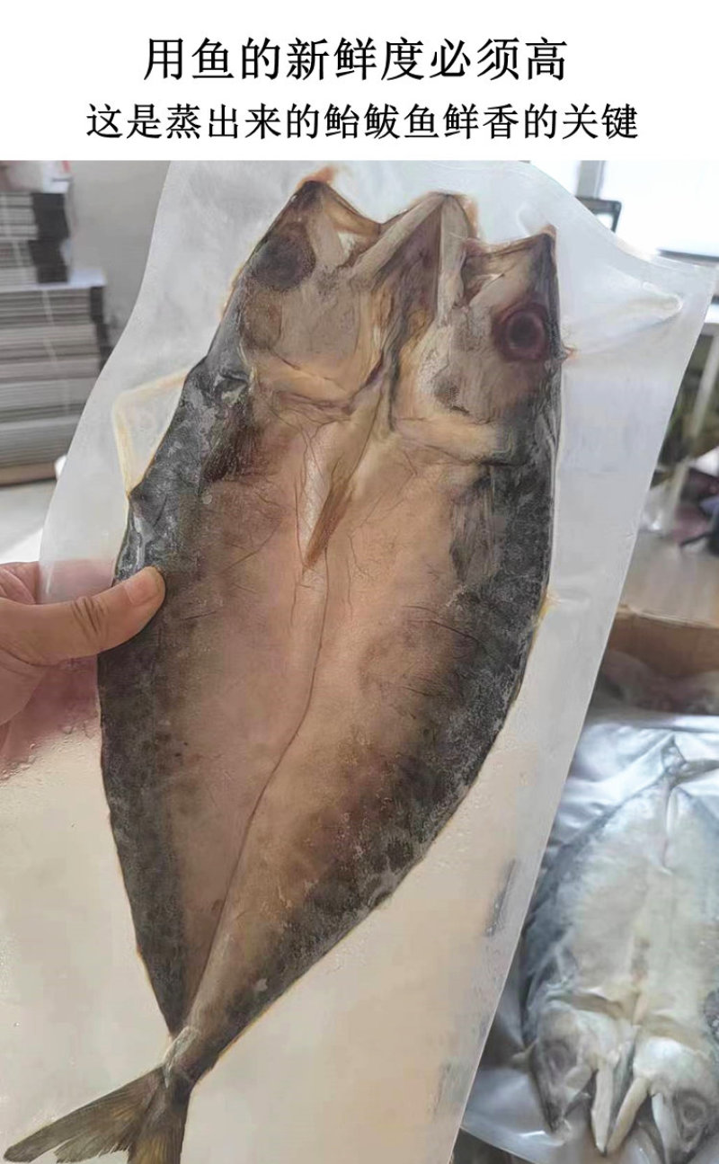 青岛特色鲐鲅鱼干微咸半干油煎外酥里嫩真香