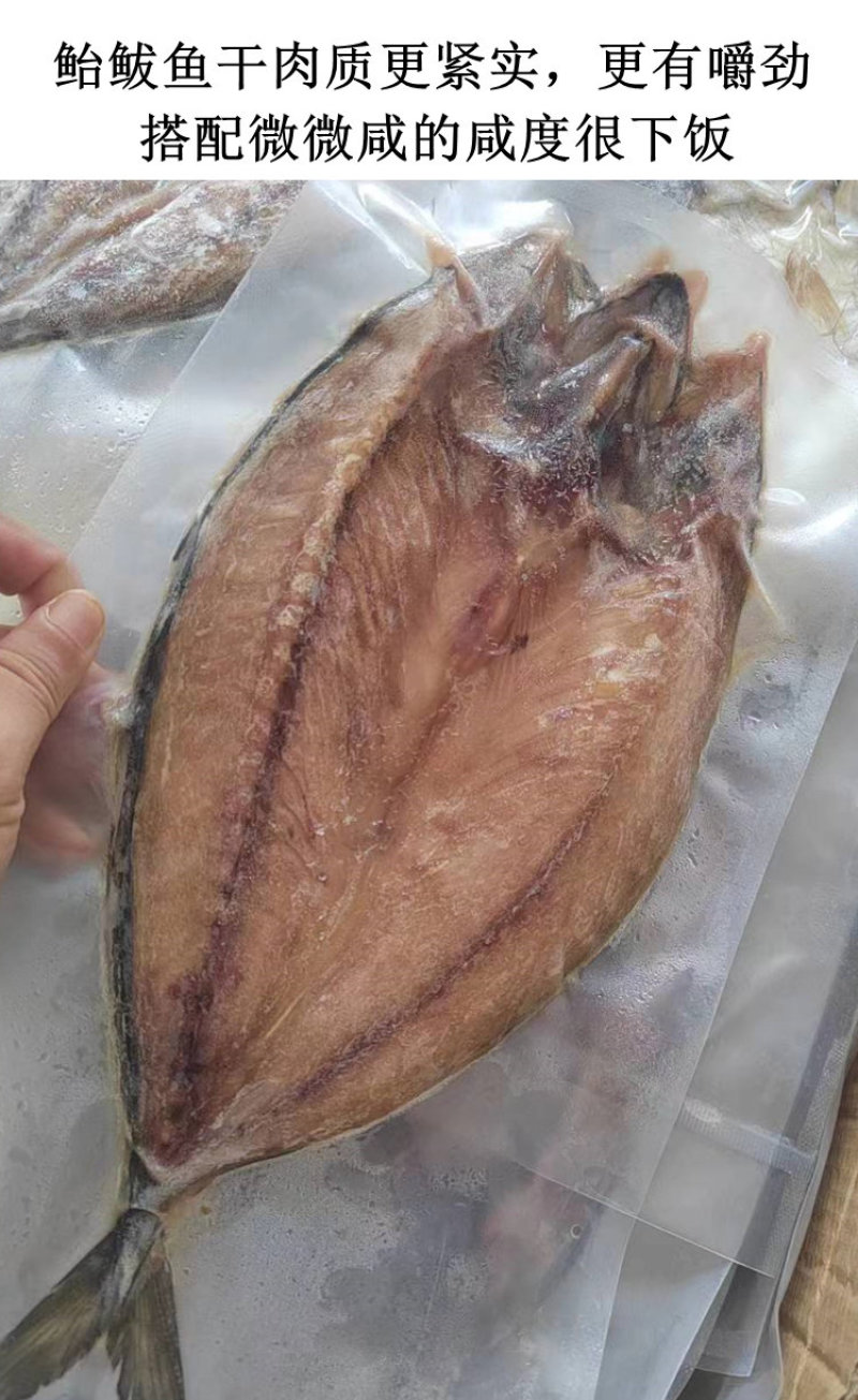 青岛特色鲐鲅鱼干微咸半干油煎外酥里嫩真香
