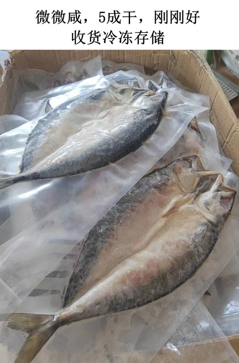 青岛特色鲐鲅鱼干微咸半干油煎外酥里嫩真香