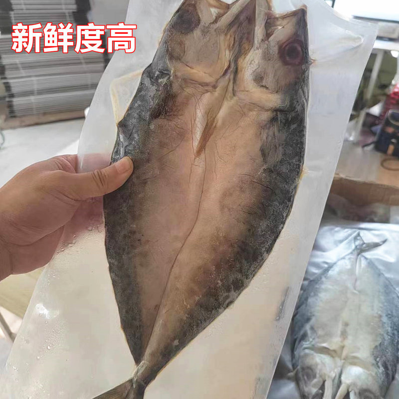 青岛特色鲐鲅鱼干微咸半干油煎外酥里嫩真香