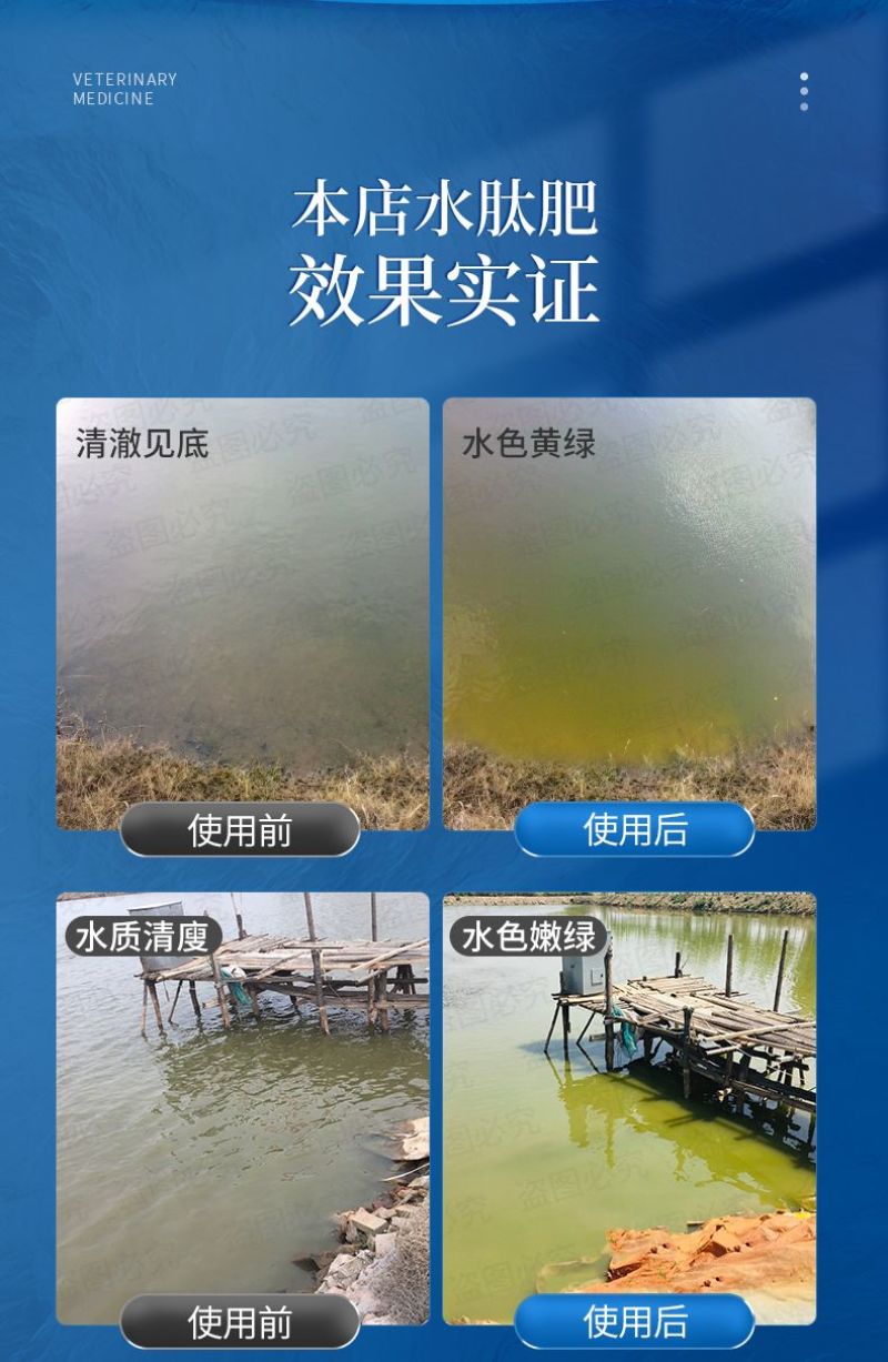 氨基酸鳞肥水膏水产养殖专用低温藻益多龙虾塘鱼蟹池塘水王皇