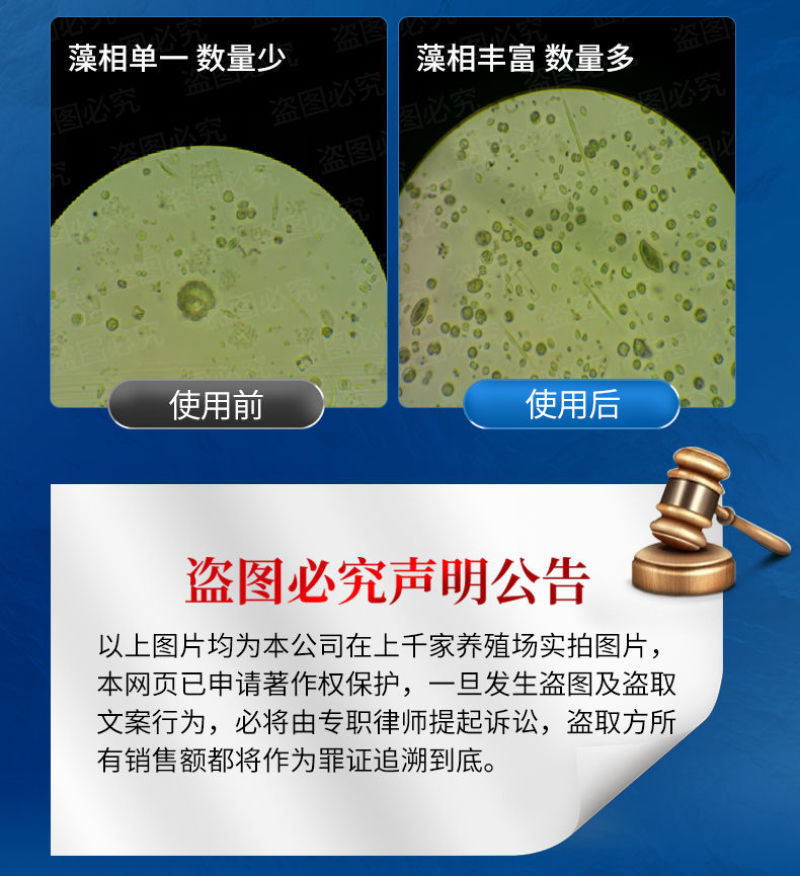 氨基酸鳞肥水膏水产养殖专用低温藻益多龙虾塘鱼蟹池塘水王皇