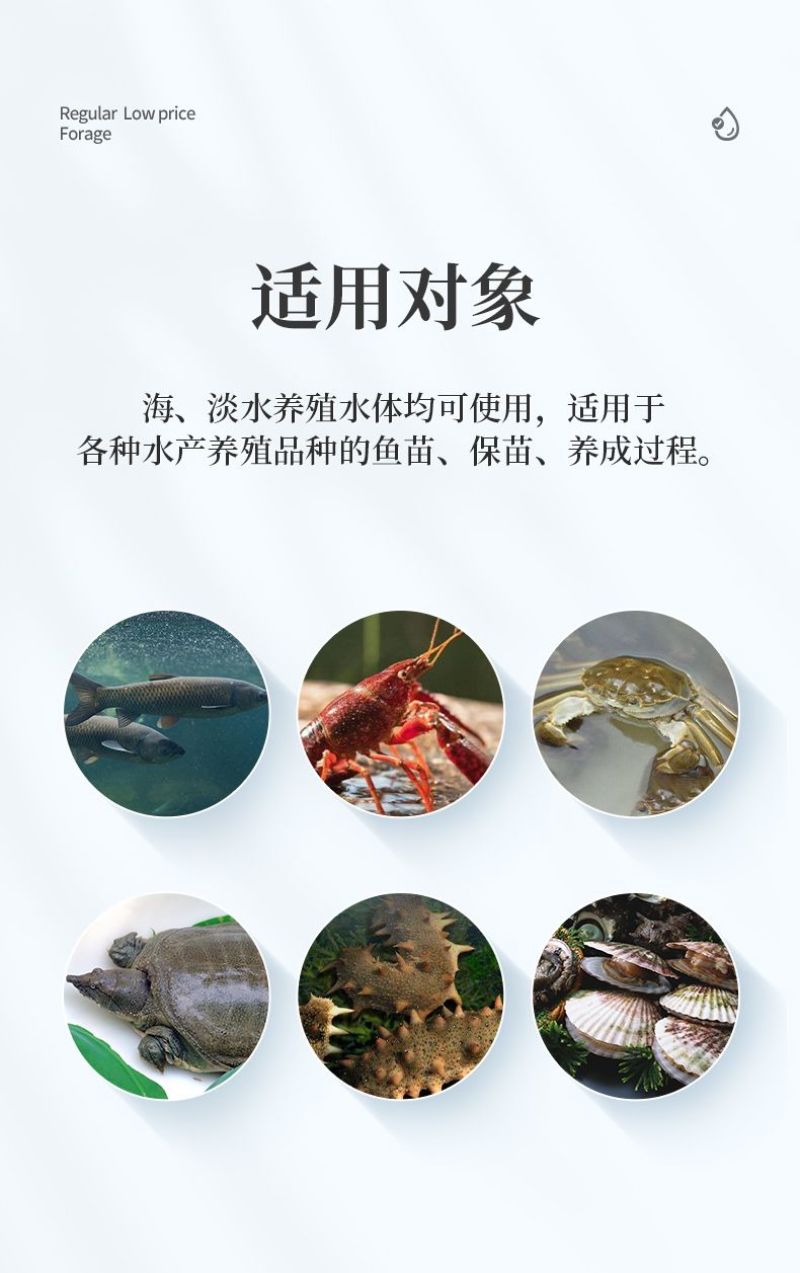 水产多维鱼虾蟹蛙养殖电解多维水产微量元素诱食促长提高免疫